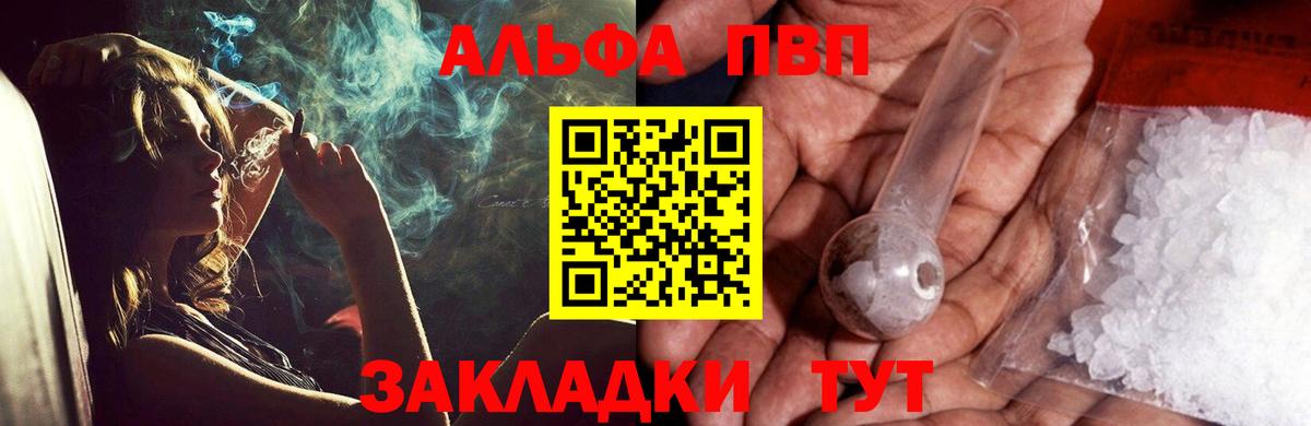 Альфа ПВП СК Кировск