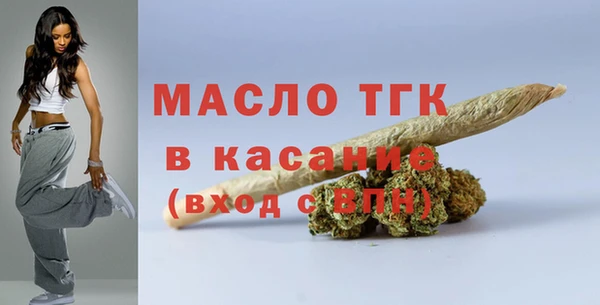 сатива Богородицк