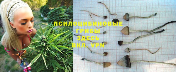 сатива Богородицк