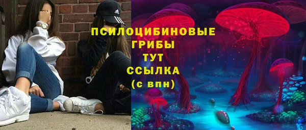 сатива Богородицк