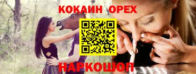 спиды Камышлов
