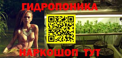 спиды Камышлов