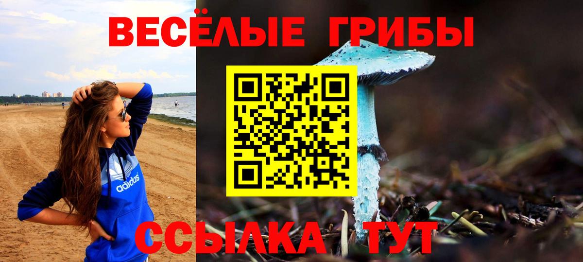 Псилоцибиновые грибы Magic Shrooms  Галлюциногенные грибы Psilocybe  Вход с VPN  Кировск 